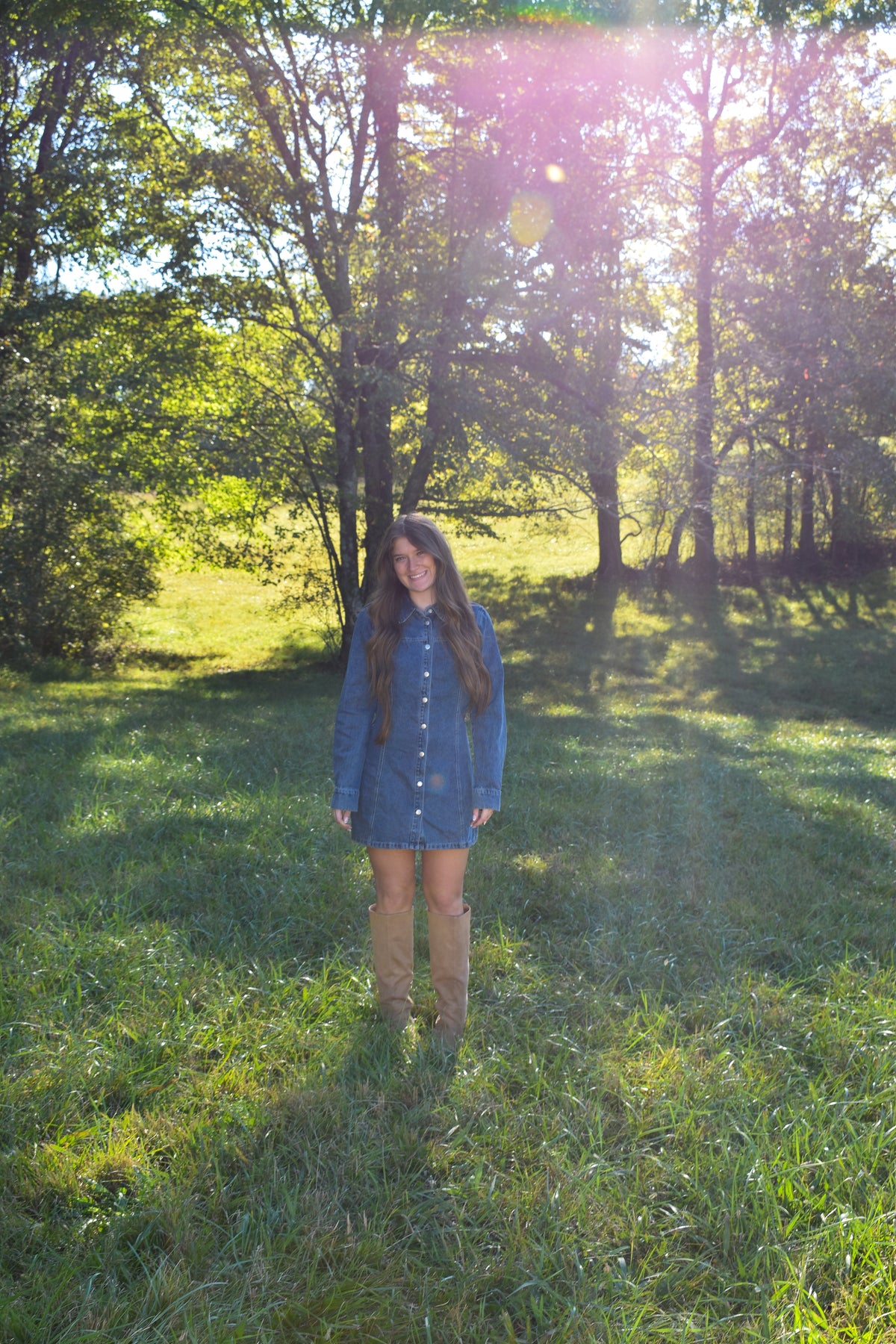 Delilah Denim Dress