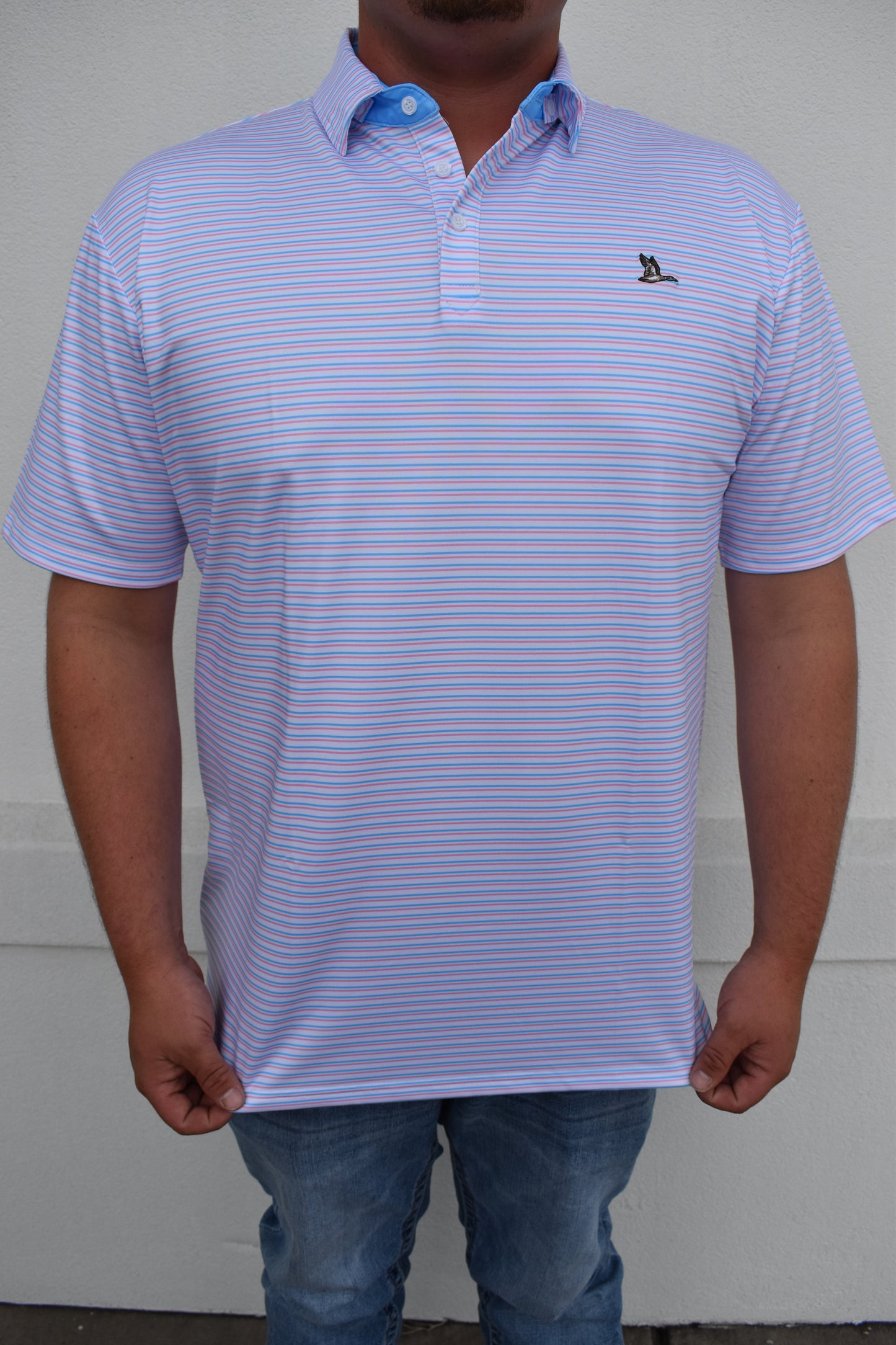 Cayuga Polo