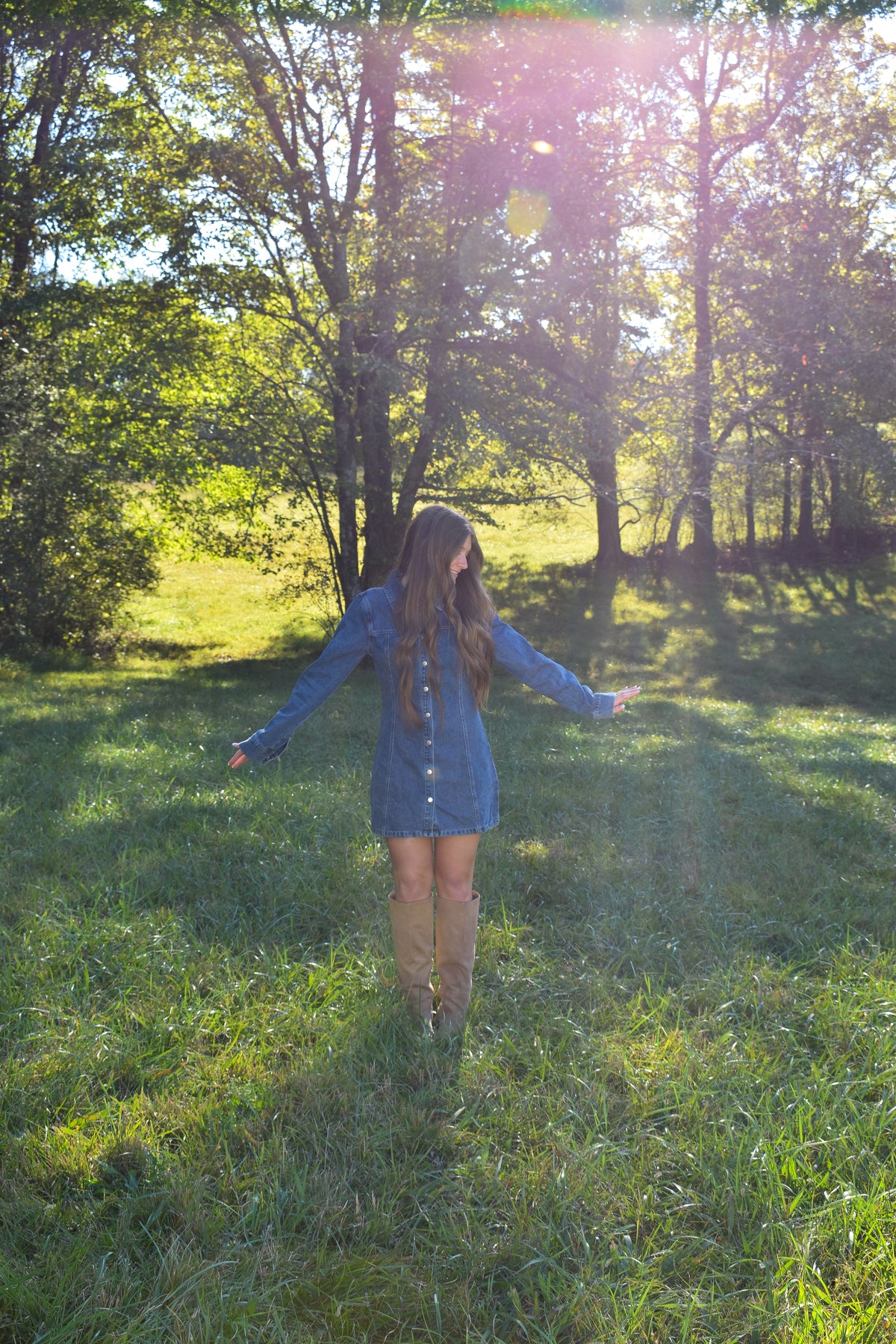 Delilah Denim Dress