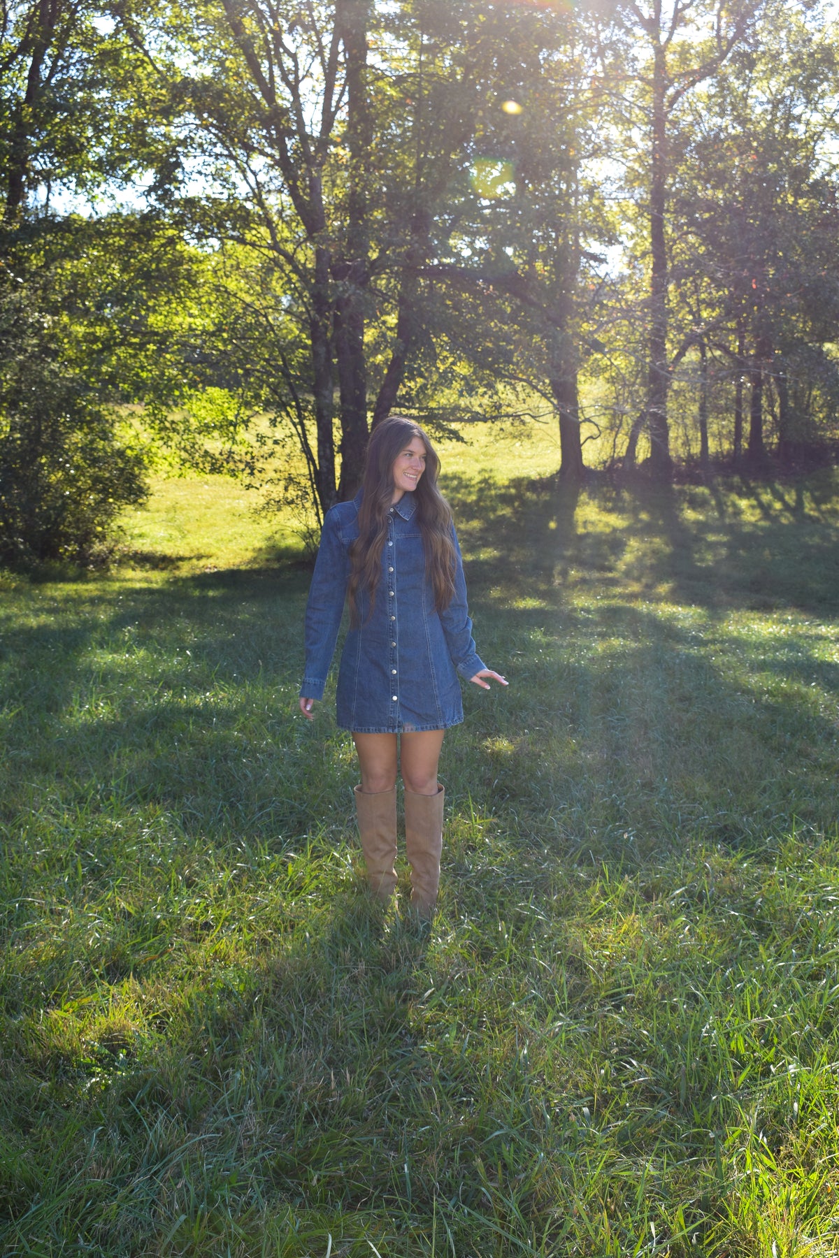 Delilah Denim Dress