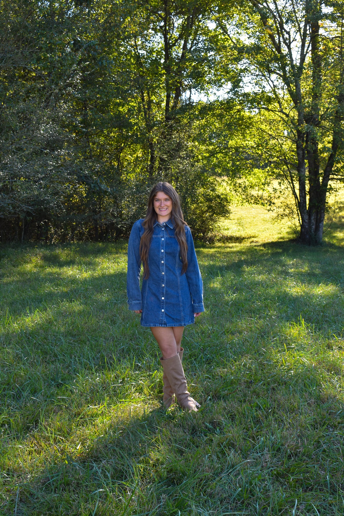 Delilah Denim Dress