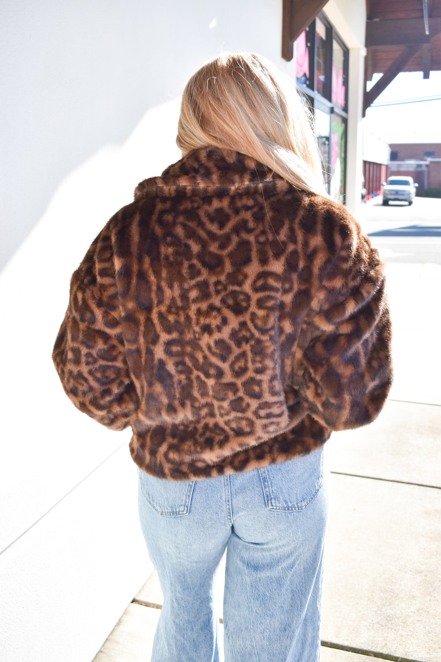 Collared Faux Fur Jacket