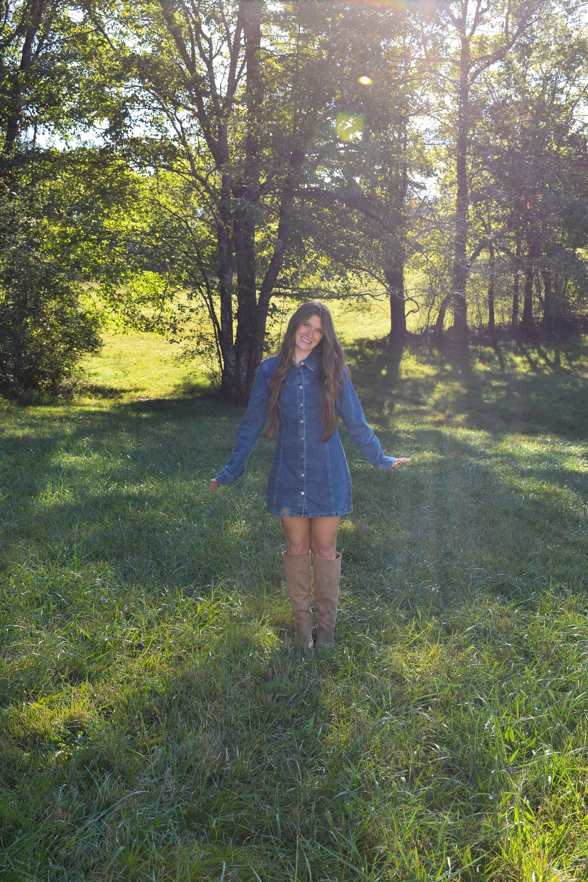Delilah Denim Dress