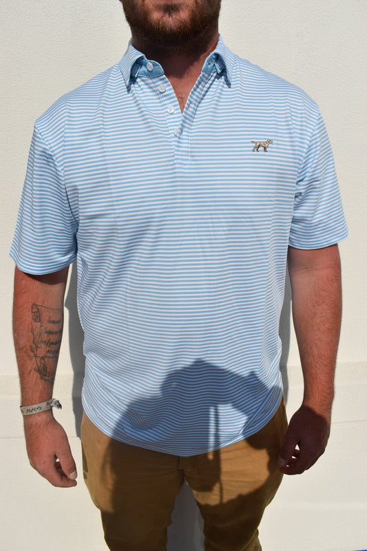 The Marshall Polo: Baby Blue