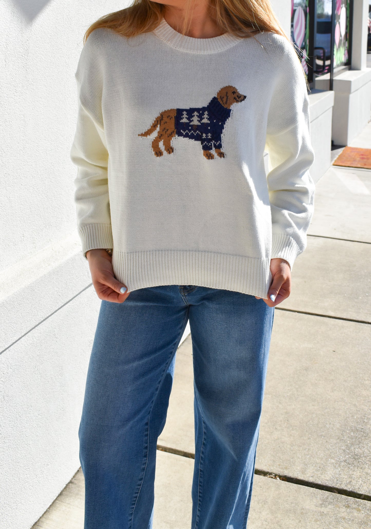 Dog W/ Sweater Crew Neck