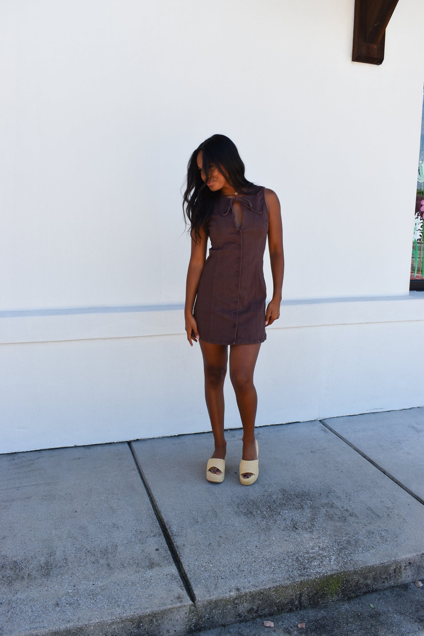Izzy Sleeveless Mini Dress