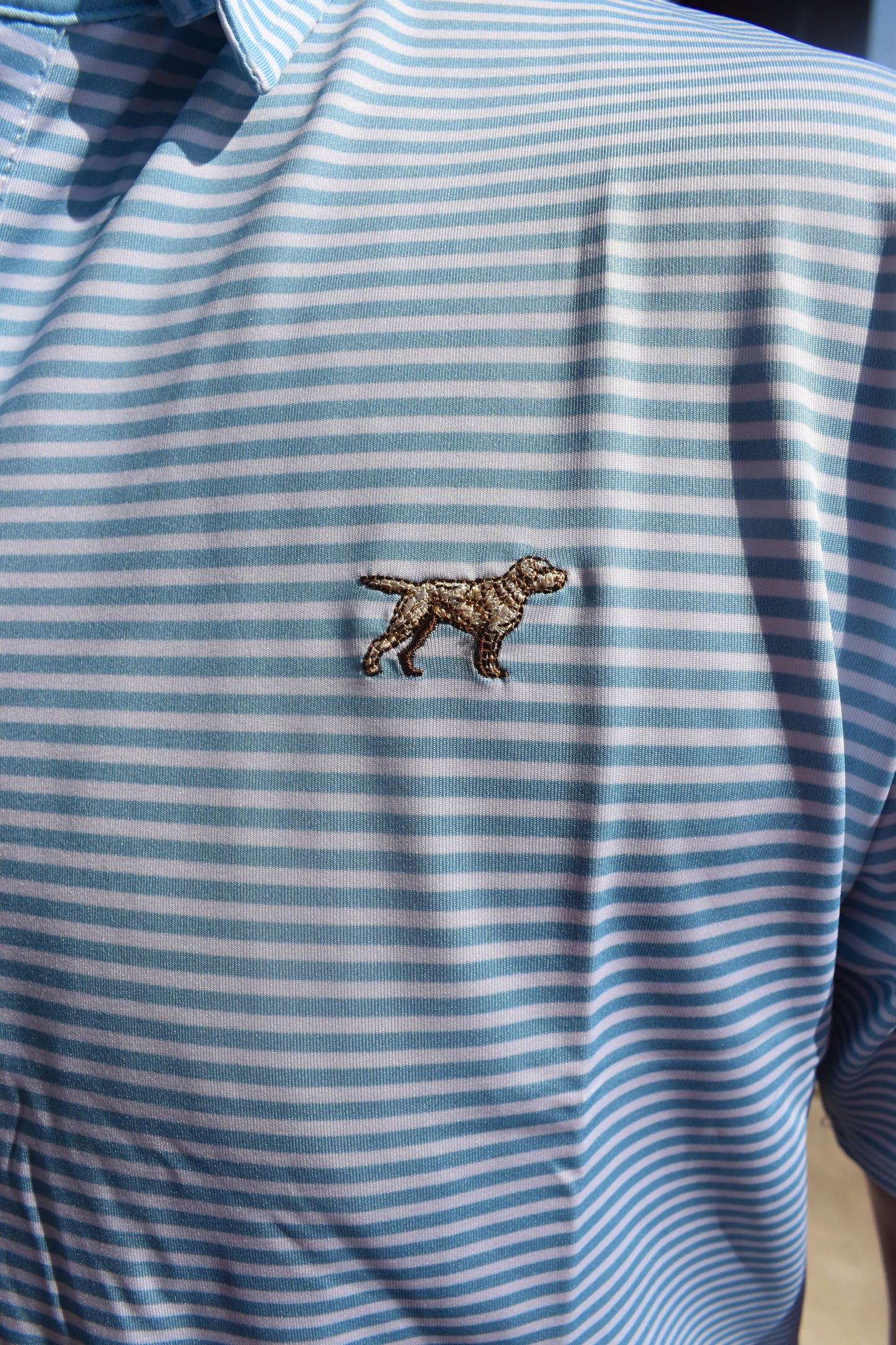The Marshall Polo: Baby Blue