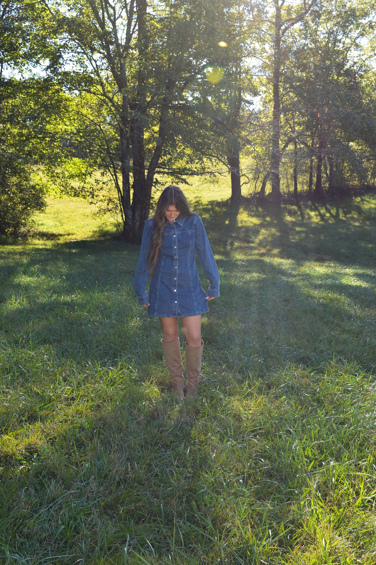 Delilah Denim Dress
