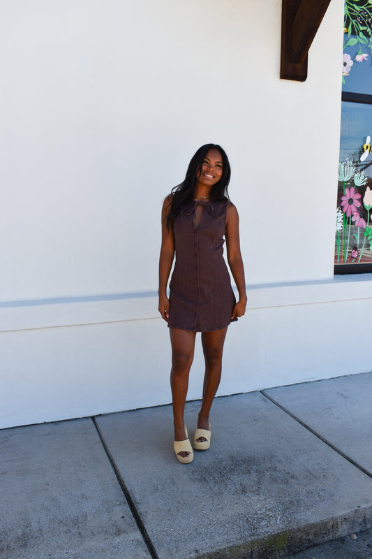 Izzy Sleeveless Mini Dress
