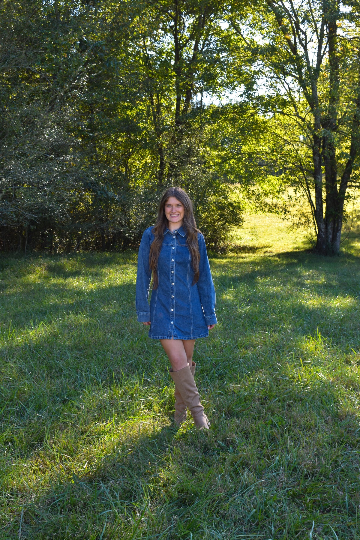 Delilah Denim Dress