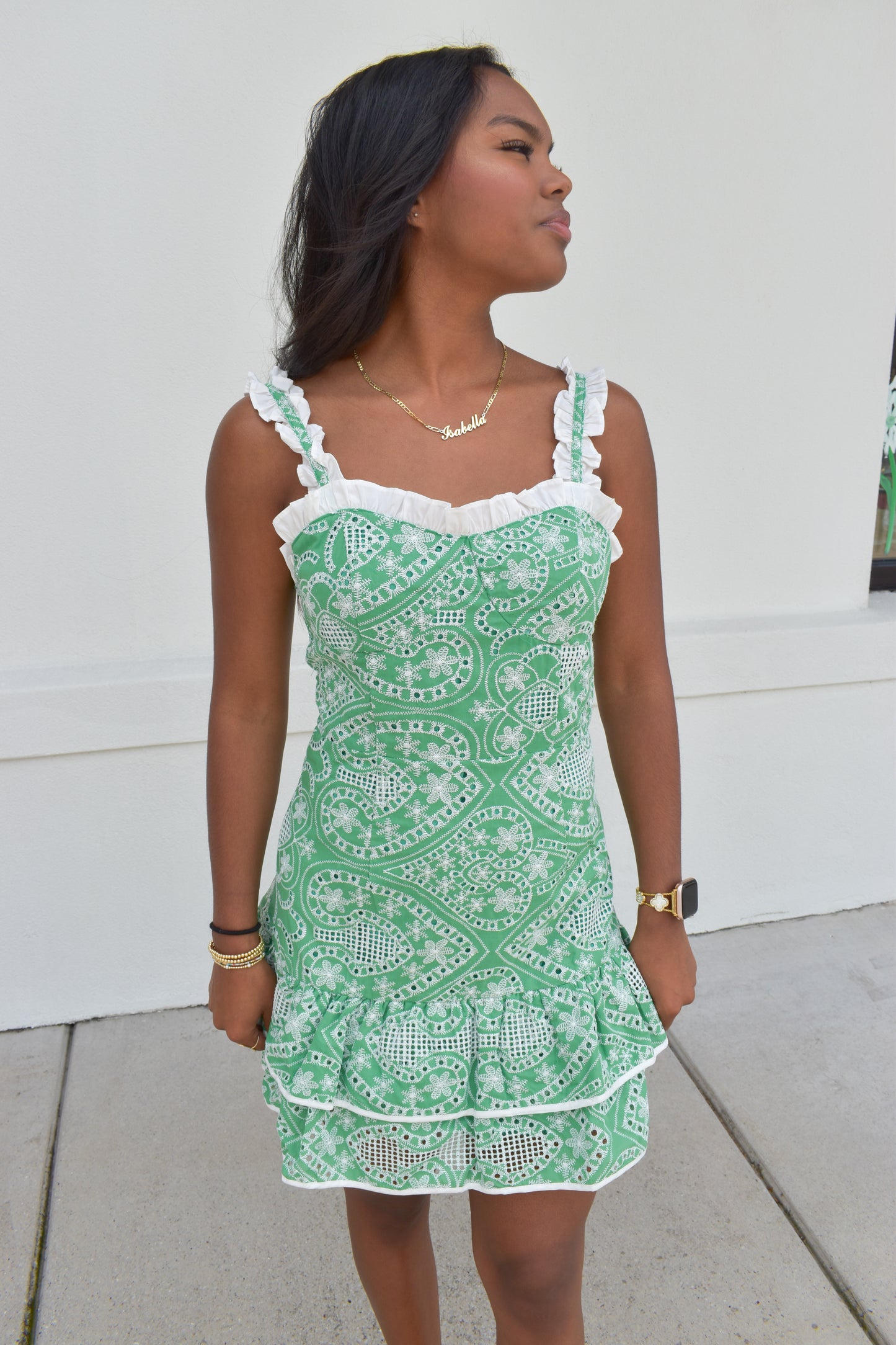 Paisley Embroidery Ruffle Mini Dress